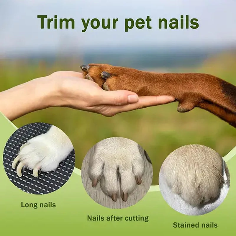 Pet Nail Clippers with LED Light & Built-In Nail Grinder – 2-In-1 Dog Cat Nail Trimmer with Illuminated Blade, Low Noise Electric File, Safety Guard & Catcher | Professional Grooming Tool for Small Medium Large Pets Summervibes Petlovers